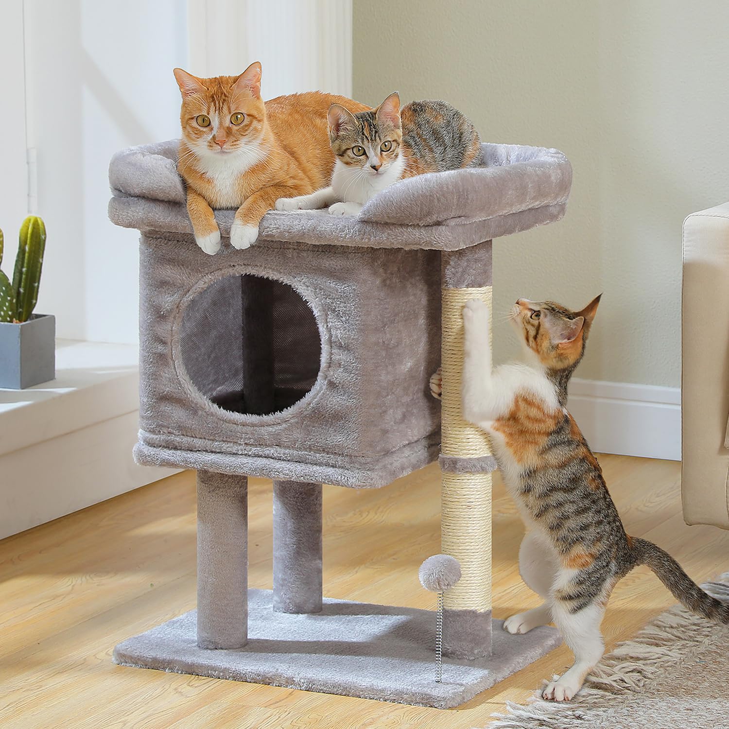 PAWZ Road árbol para gatos: plataforma superior amplia para descanso cómodo