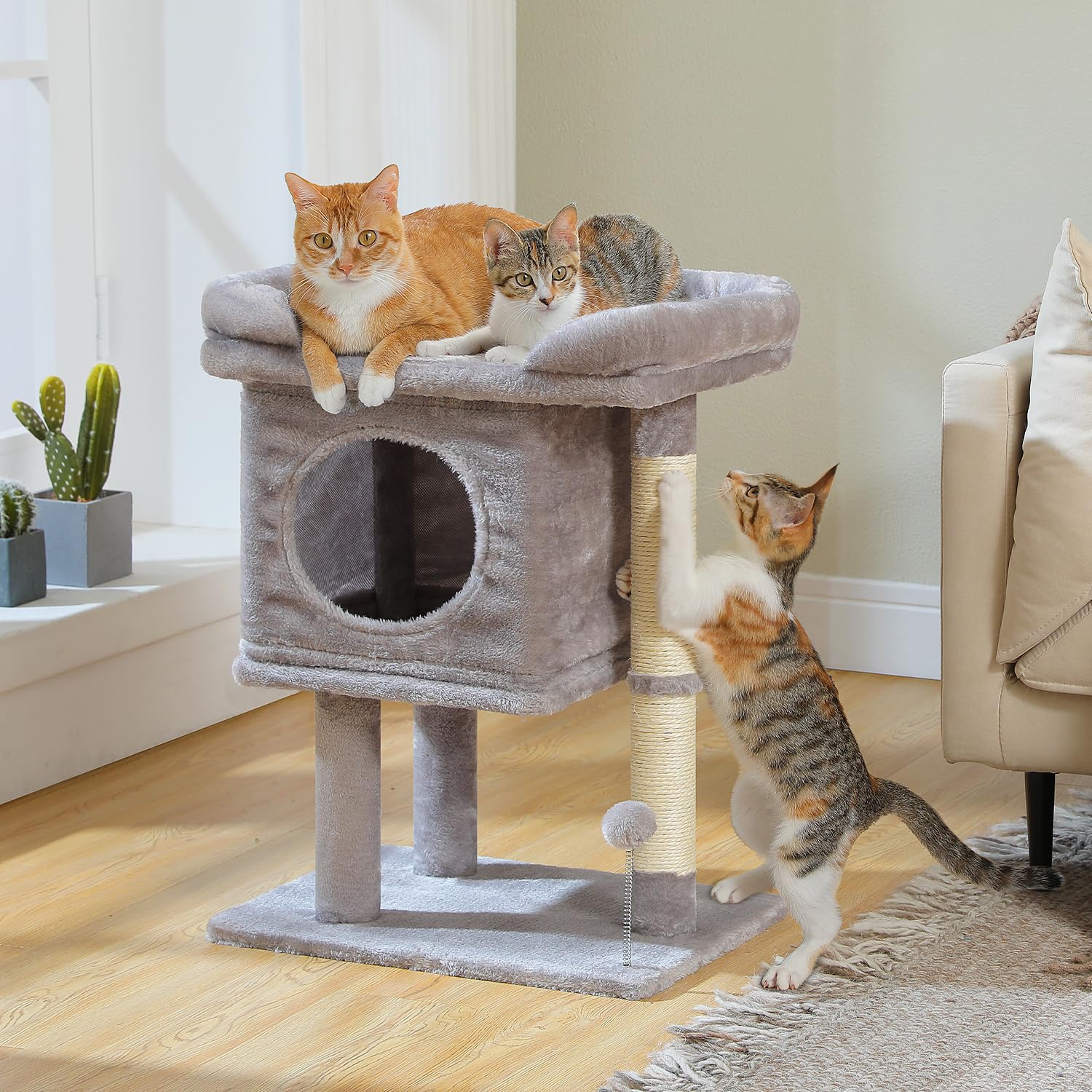 PAWZ Road árbol para gatos: zona de descanso y juego para felinos