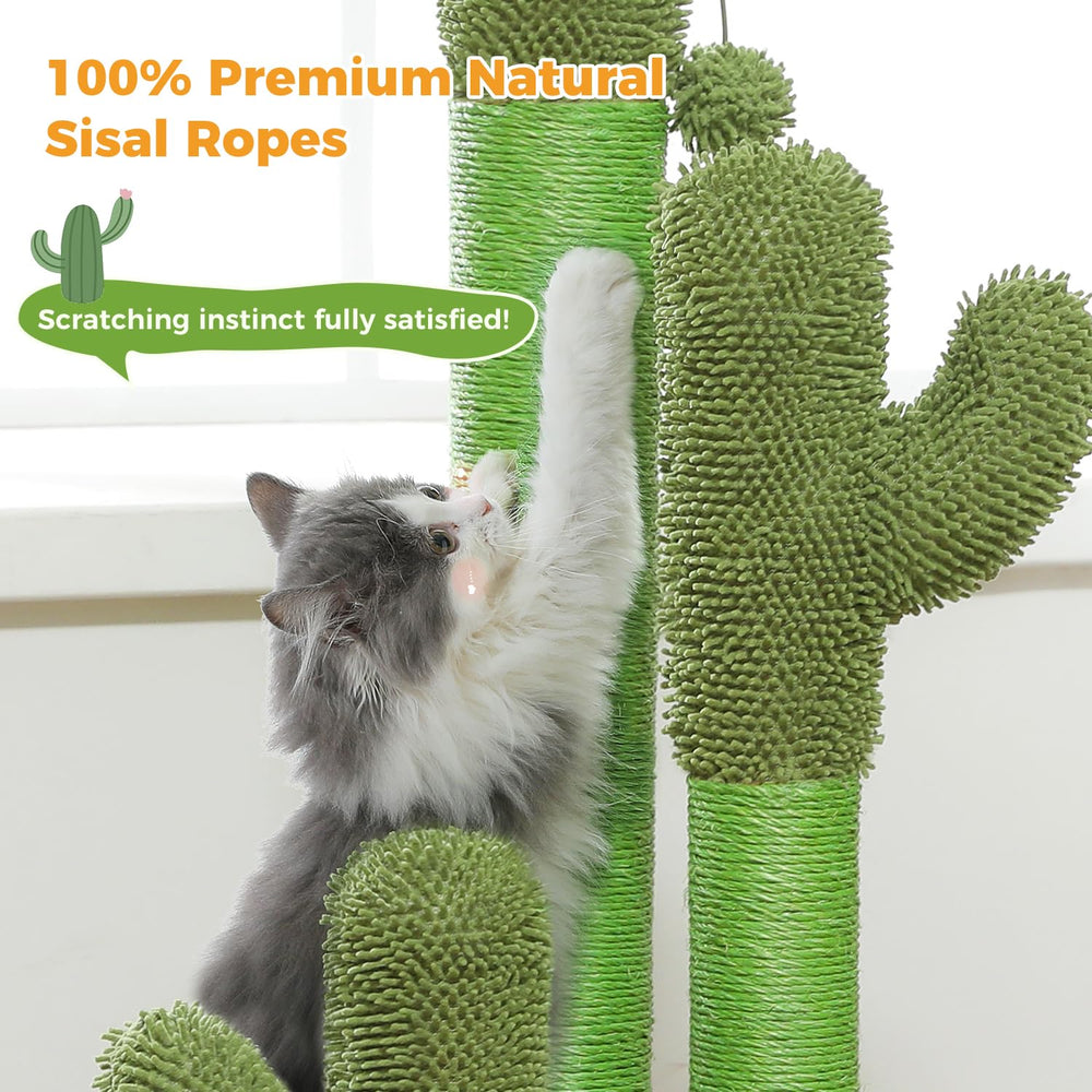 PAWZ Road cactus rascador con alfombra suave para patas cómodas.
