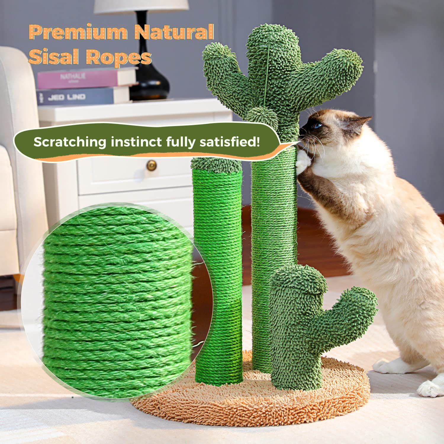 PAWZ Road: diseño estilo cactus para decorar y divertir al felino.