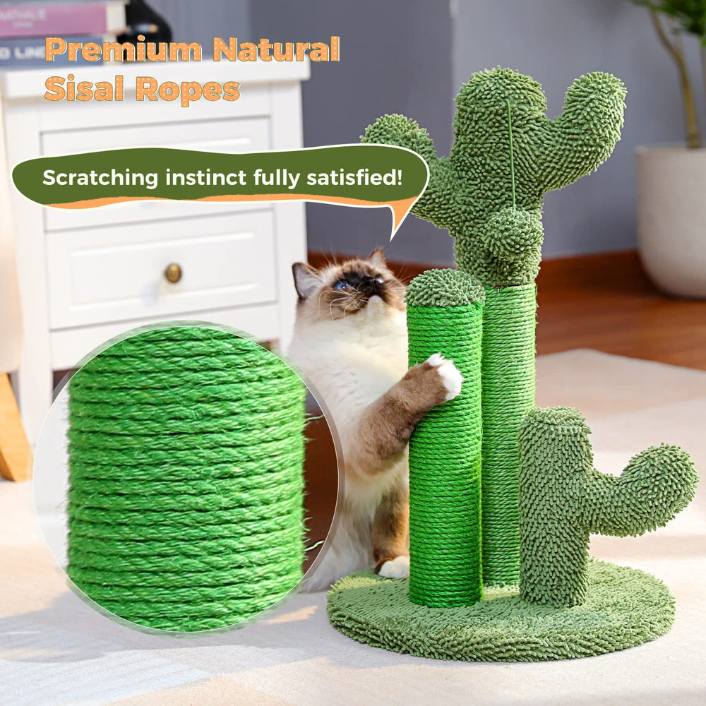 PAWZ Road diseño cactus moderno para decorar y divertir
