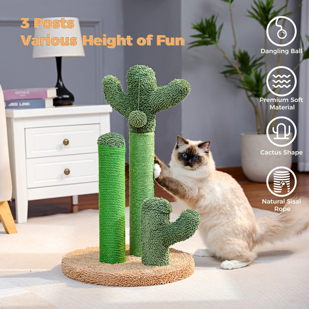 PAWZ Road: base con alfombra suave para comodidad de las patas.