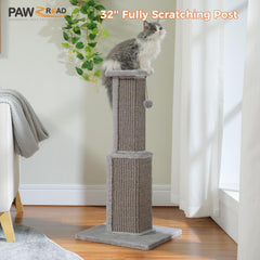 PAWZ Road instrucciones de montaje simples para empezar rápidamente