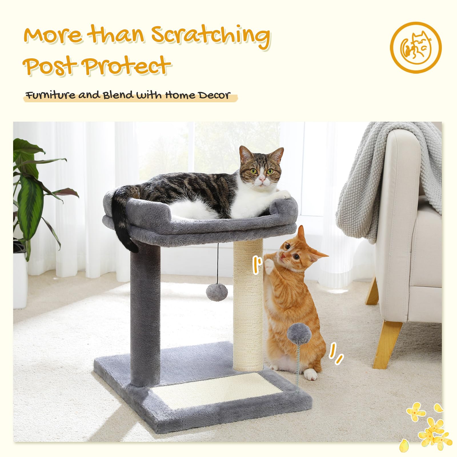 PAWZ Road kit montaje fácil: instalación rápida y sencilla
