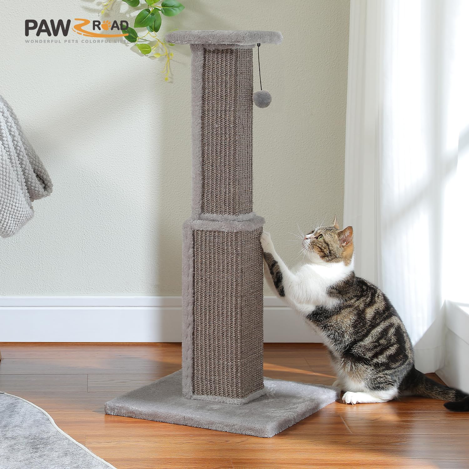 PAWZ Road colores beige gris negro para combinar con tu hogar