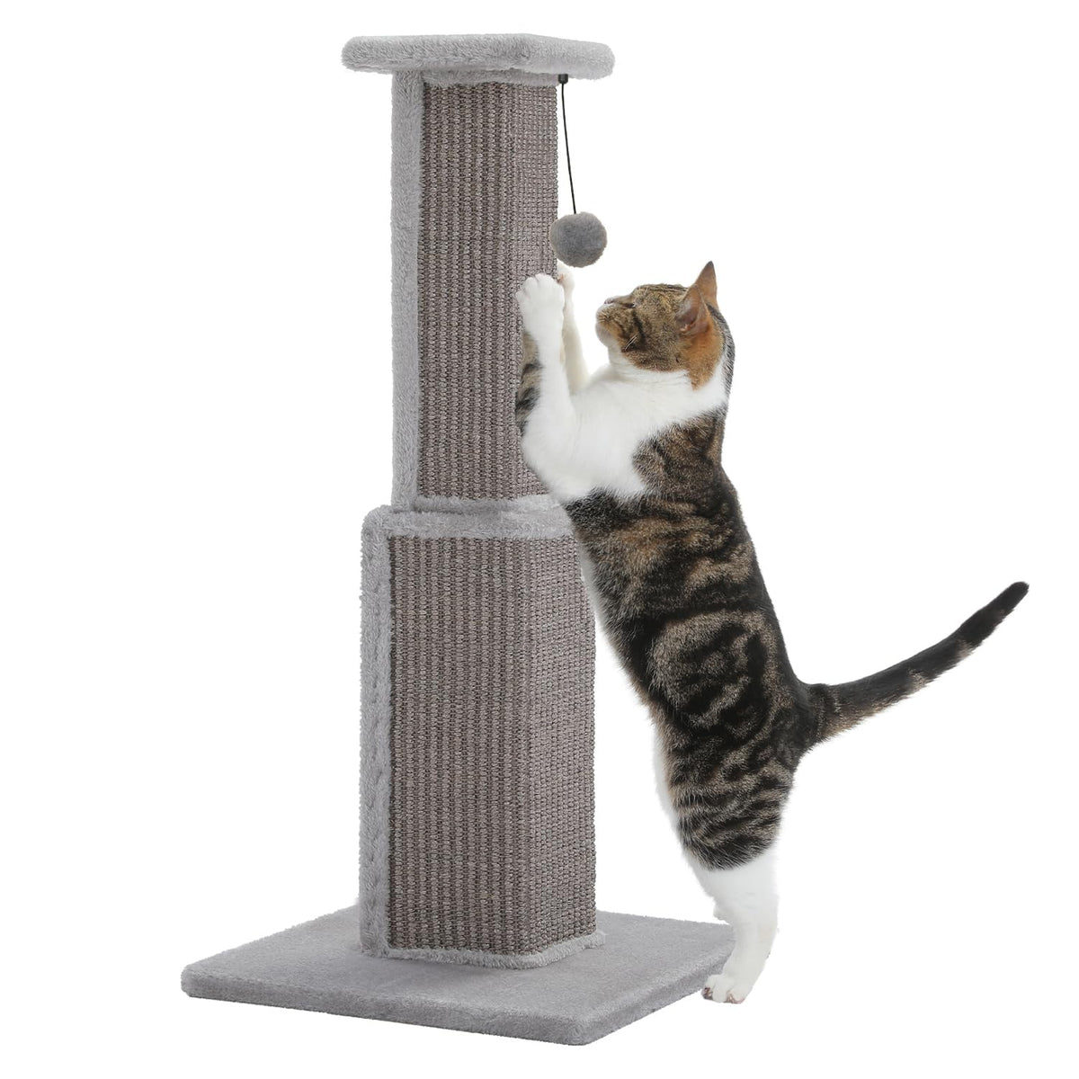 PAWZ Road poste-gato 32 pulgadas para rascar, protege muebles