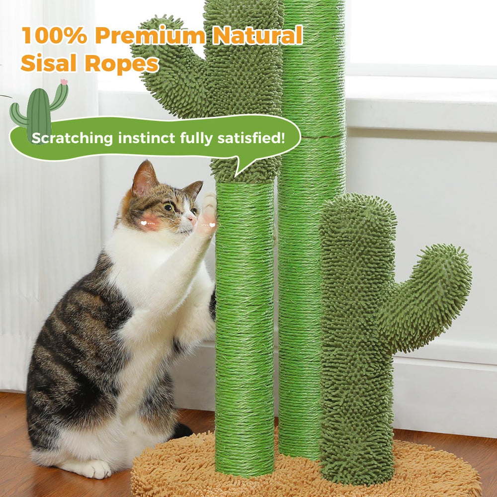 PAWZ Road opción mediana y grande para diferentes tamaños de gatos