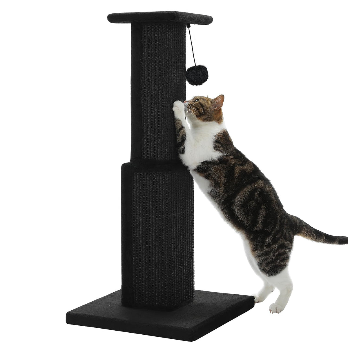 PAWZ Road rascador-gato 32 pulgadas negro para felinos activos y grandes