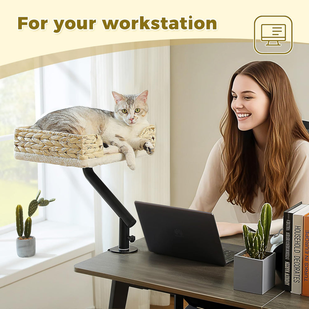 PAWZ Road uso-en-escritorio-espacio-limpio: mantiene el área de trabajo ordenada y cercana al felino.