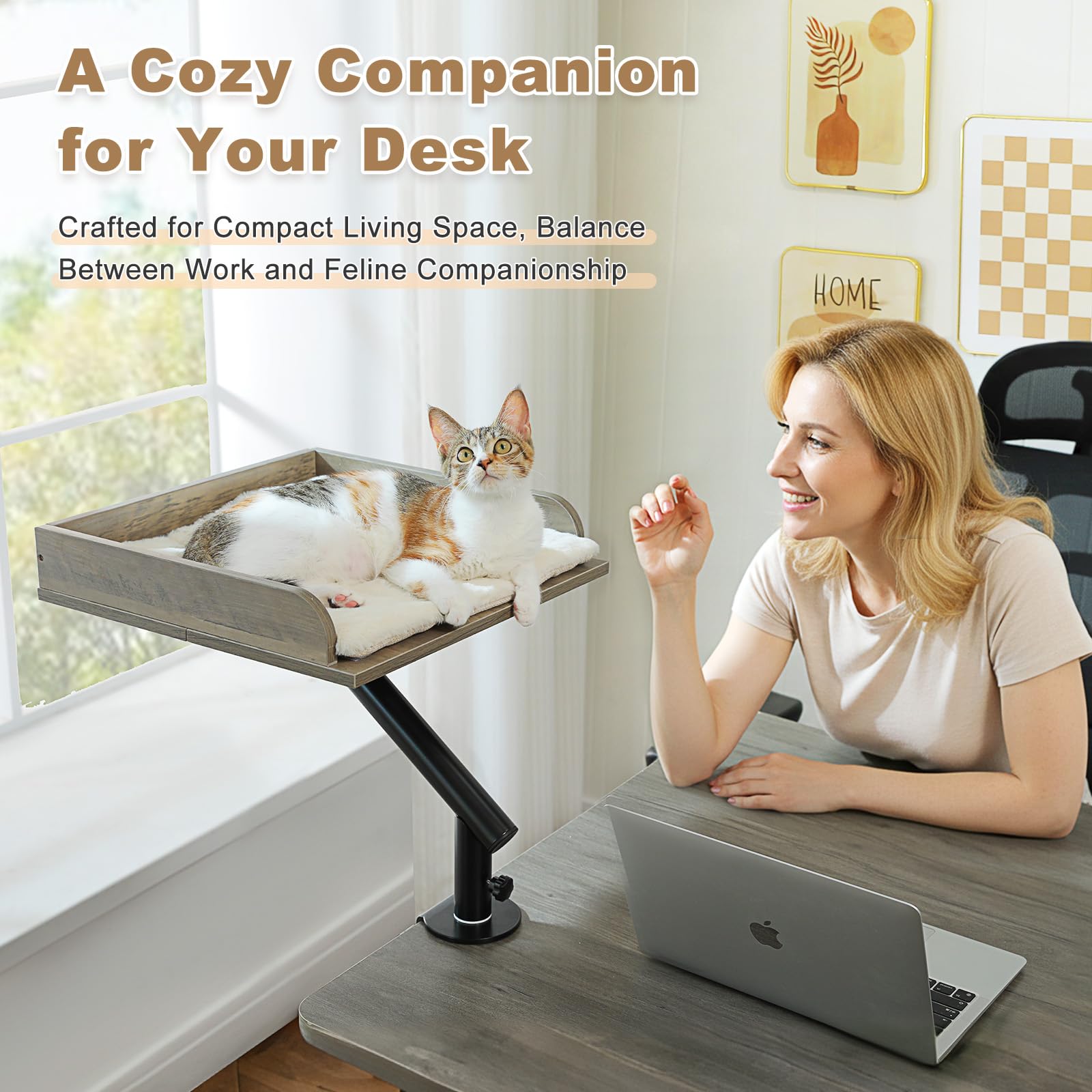 PAWZ Road Uso práctico en casa: optimiza espacio y convivencia.