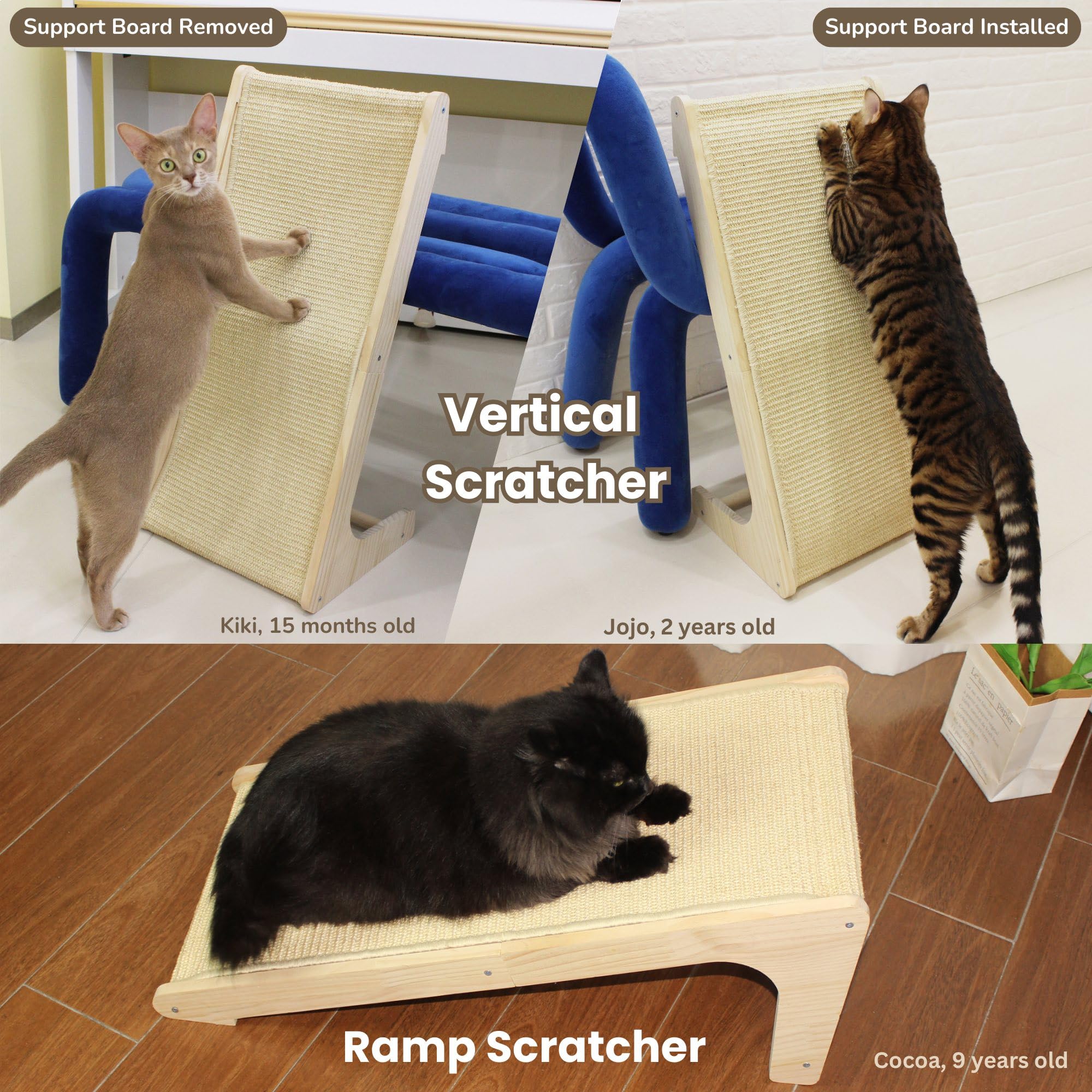 Pawzentic hierba-gatera-paquete: hierba gatera incluida para atraer al gato.