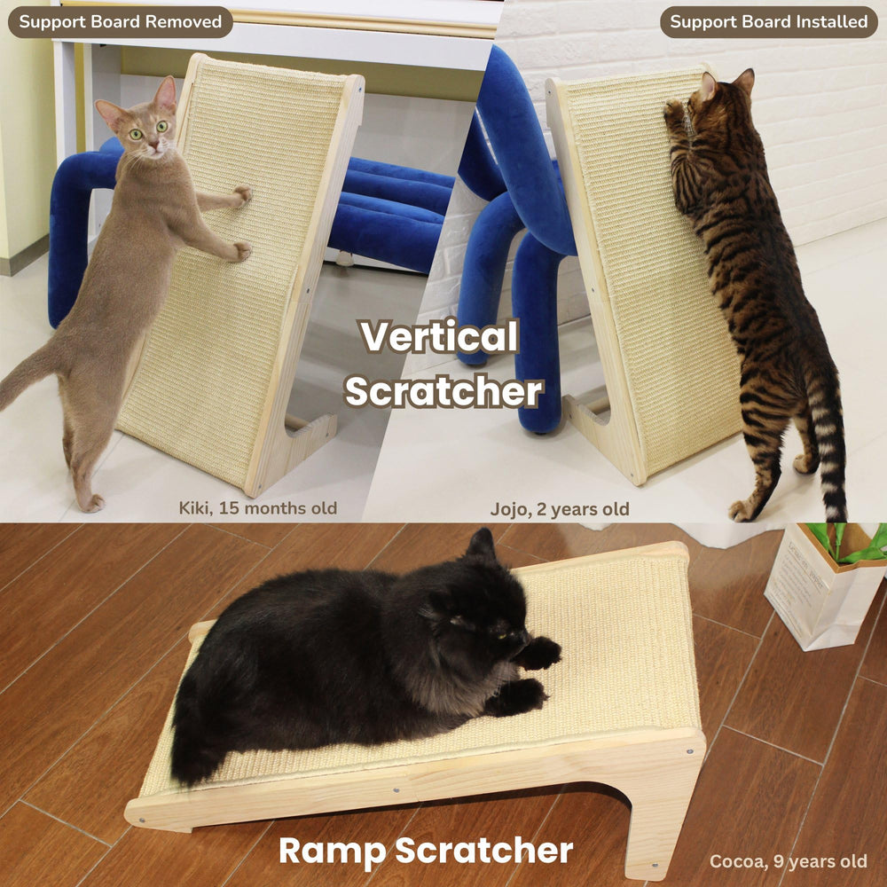 Pawzentic hierba-gatera-paquete: hierba gatera incluida para atraer al gato.