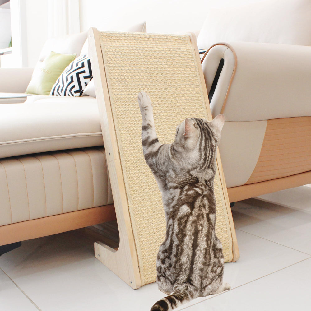 Pawzentic rampa-rascador-gato: cómodo para estirar y arañar.