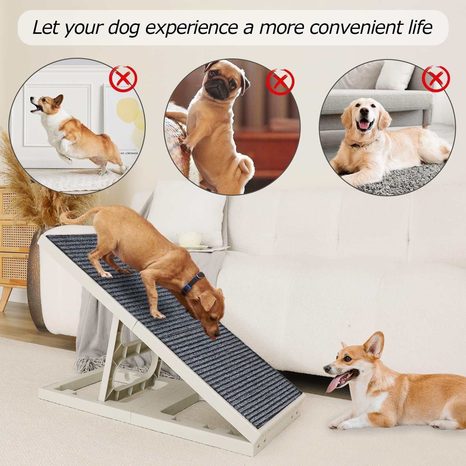 Pawzone rampa de uso diario para mascotas pequeñas y medianas.