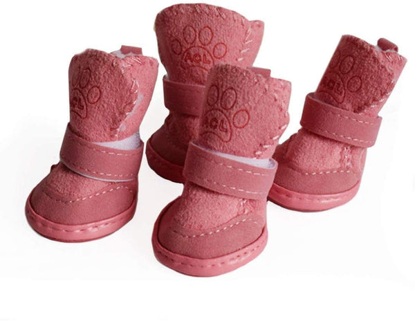 Payanwin botas para perro anti deslizantes en primer plano protegiendo patas