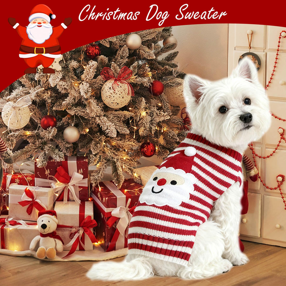 PAYHTOW sudadera varias tallas: ajuste ideal para perros pequeños y medianos.