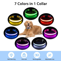 PcEoTllar collar agua resistente: apto para lluvia o juegos acuáticos
