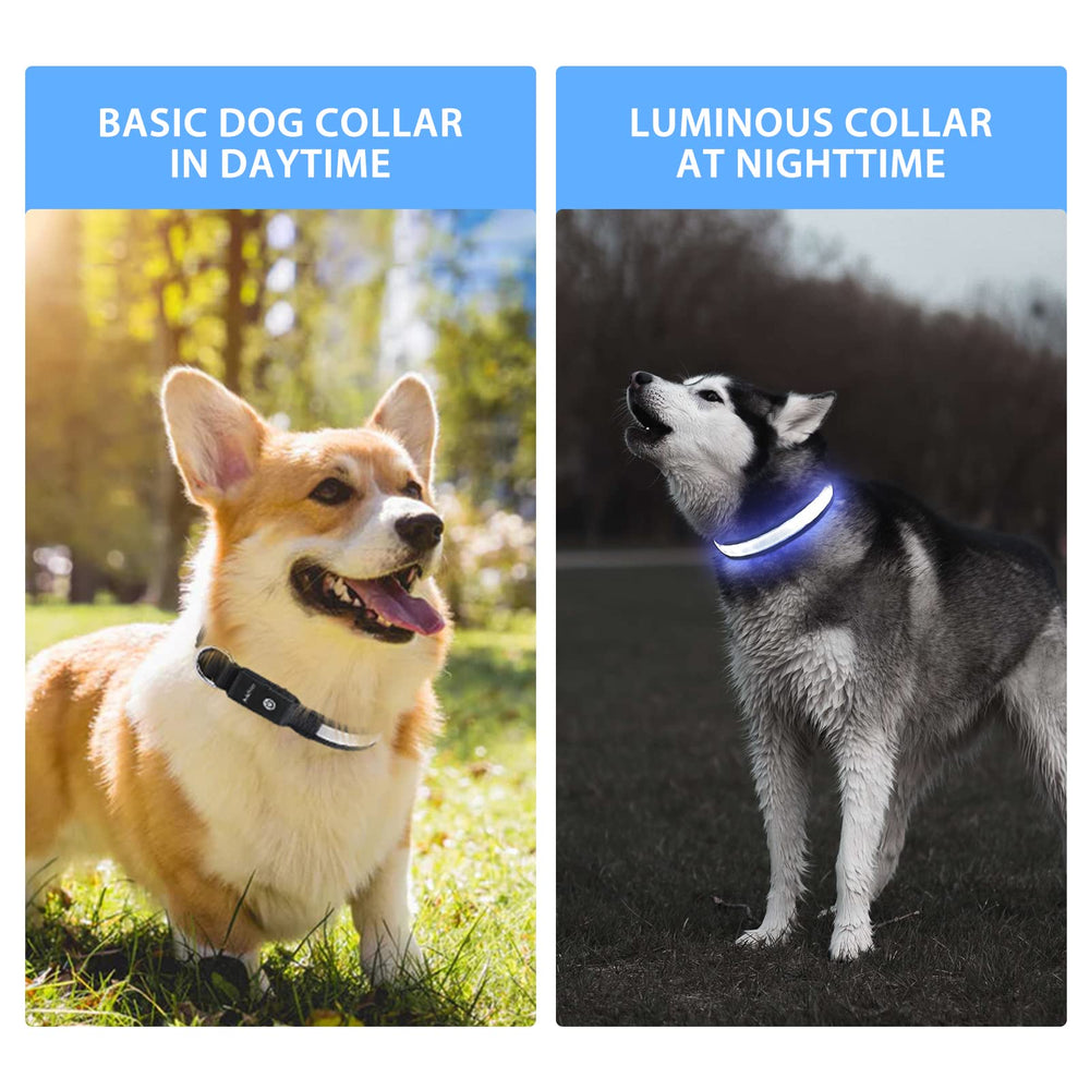 PcEoTllar collar compatible con tamaños variados y animales.