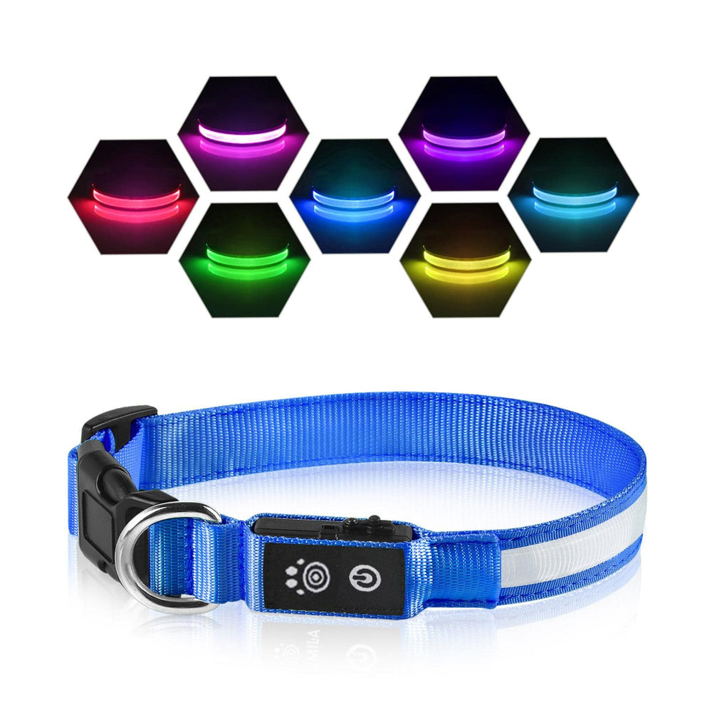 PcEoTllar collar colores variados para paseo seguro.