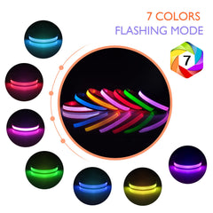 PcEoTllar collar LED colores cambiantes para paseos seguros.