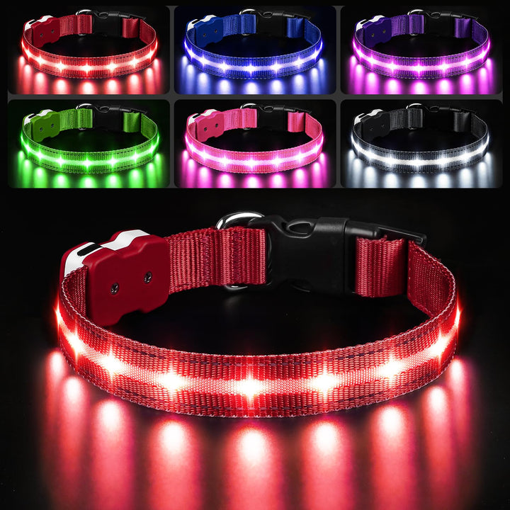 PcEoTllar collar LED con luz nocturna para perros, mayor visibilidad