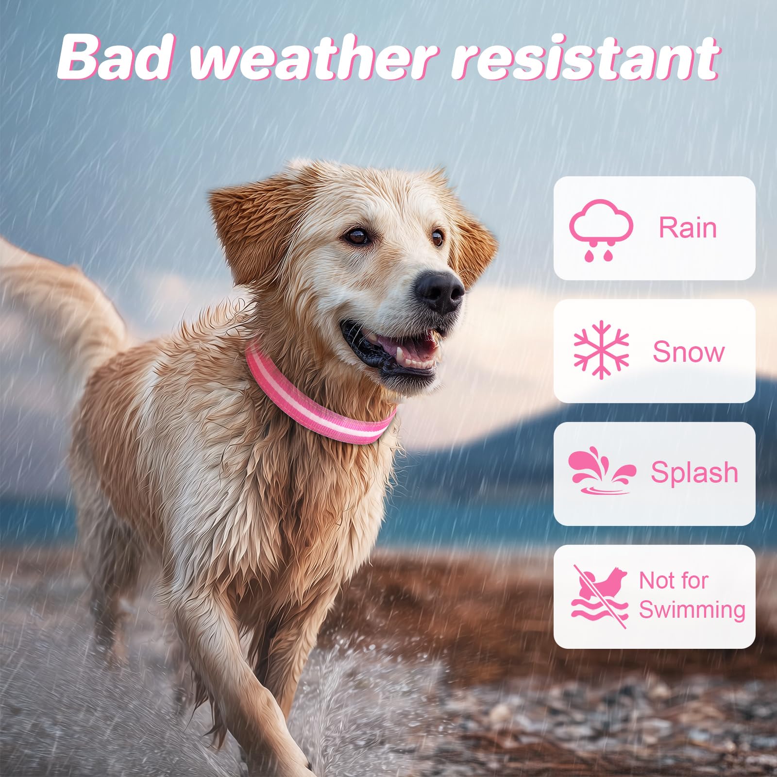 PcEoTllar collar led ajustable, se adapta a todas las tallas de perro.