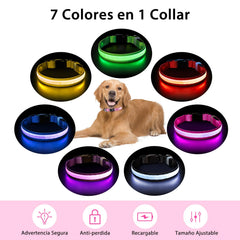 PcEoTllar collar LED, brillo nocturno para ver a tu mascota.