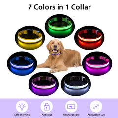PcEoTllar collar ajustable, se adapta a perros de todos los tamaños.