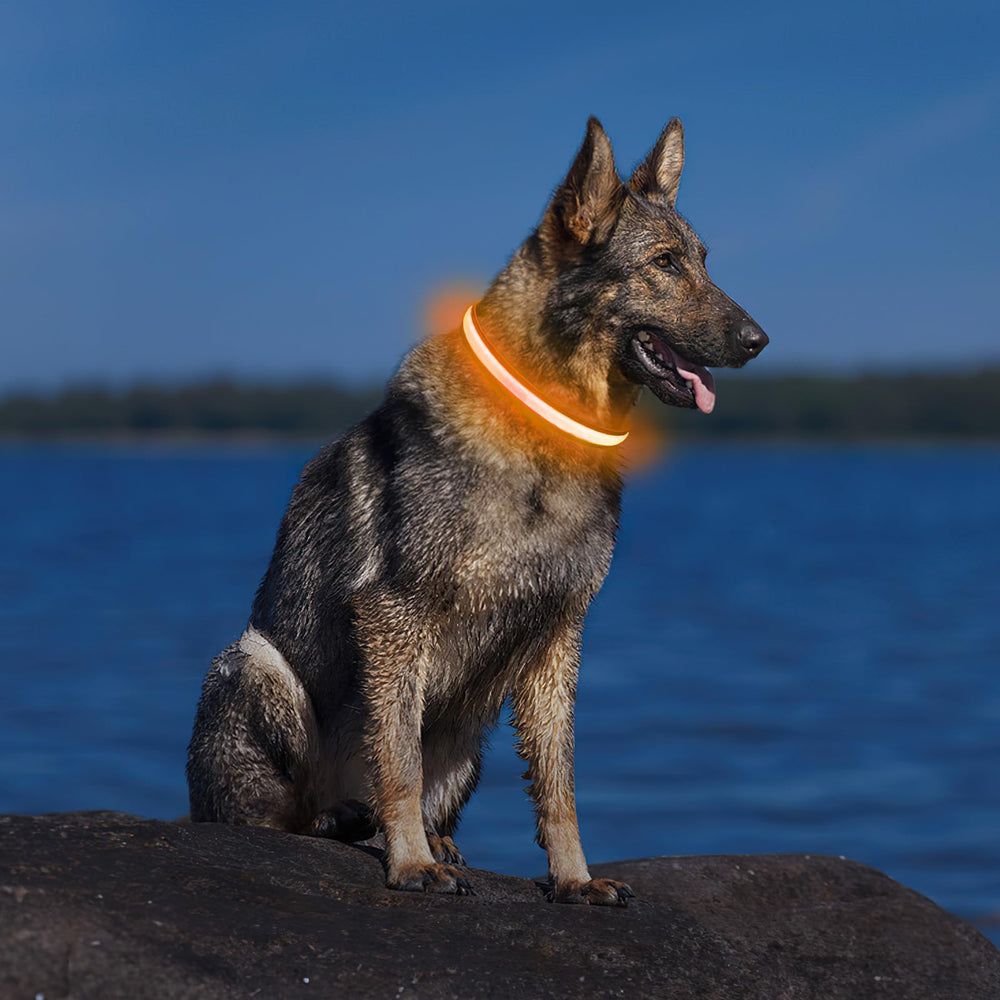 PcEoTllar collar para caminatas nocturnas seguras.