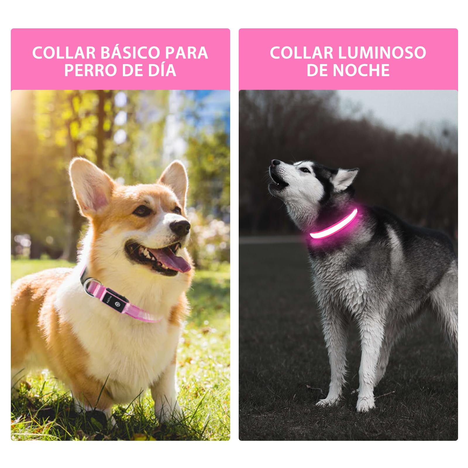 PcEoTllar collar-perro-carga-reutilizable con carga USB conveniente