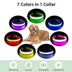 PcEoTllar collar lumínico resistente al agua para juegos húmedos.