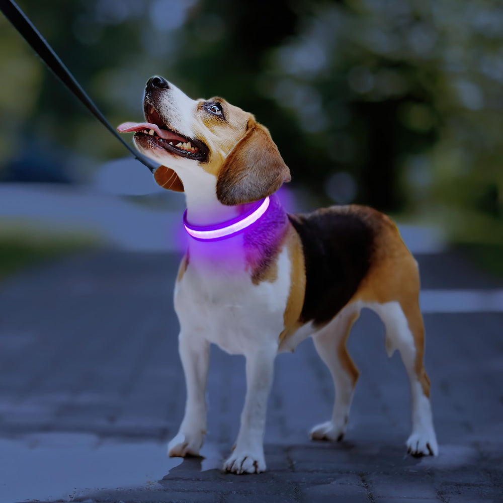 PcEoTllar collar ajustable para perros grandes y pequeños.