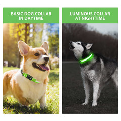 PcEoTllar LED recargable, cambio de color para paseos nocturnos.