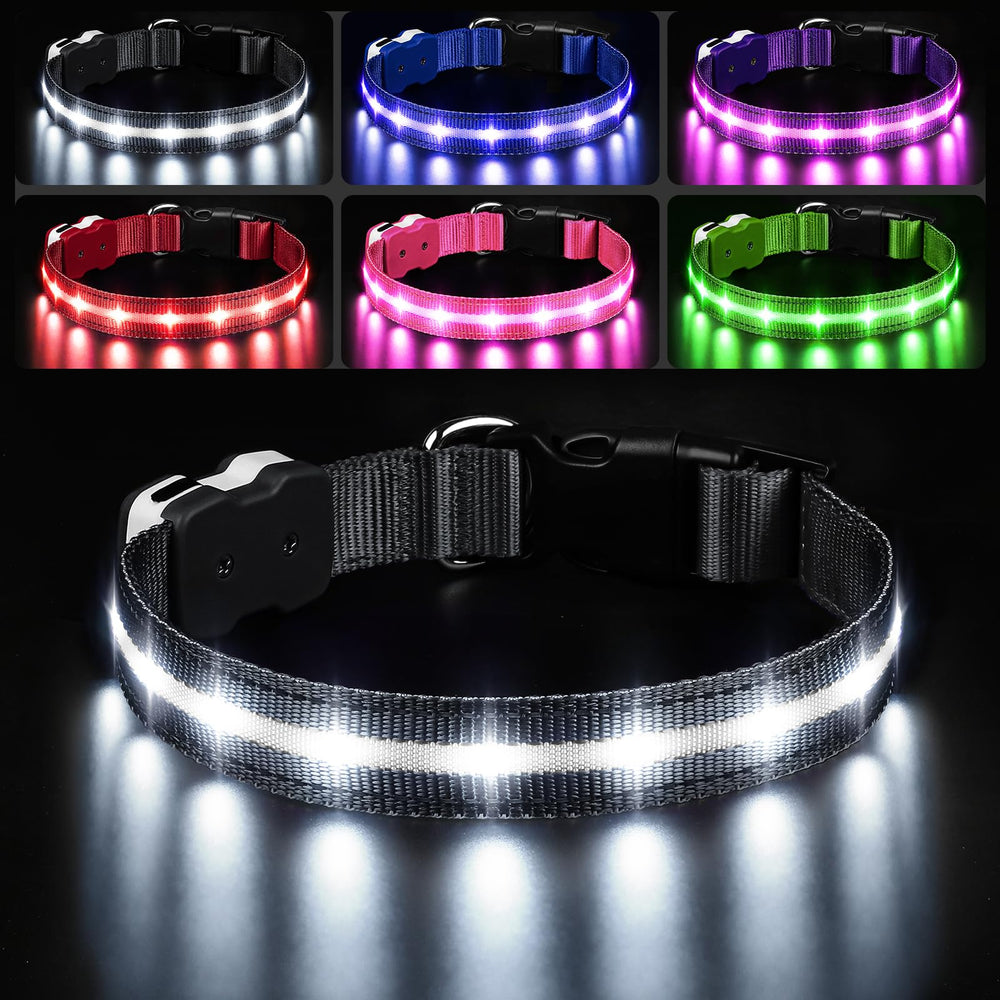 PcEoTllar collar led, luz brillante para paseos nocturnos.