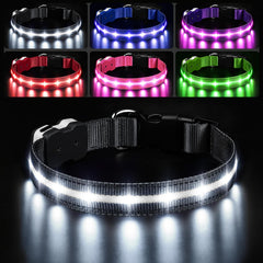 PcEoTllar collar led, luz brillante para paseos nocturnos.