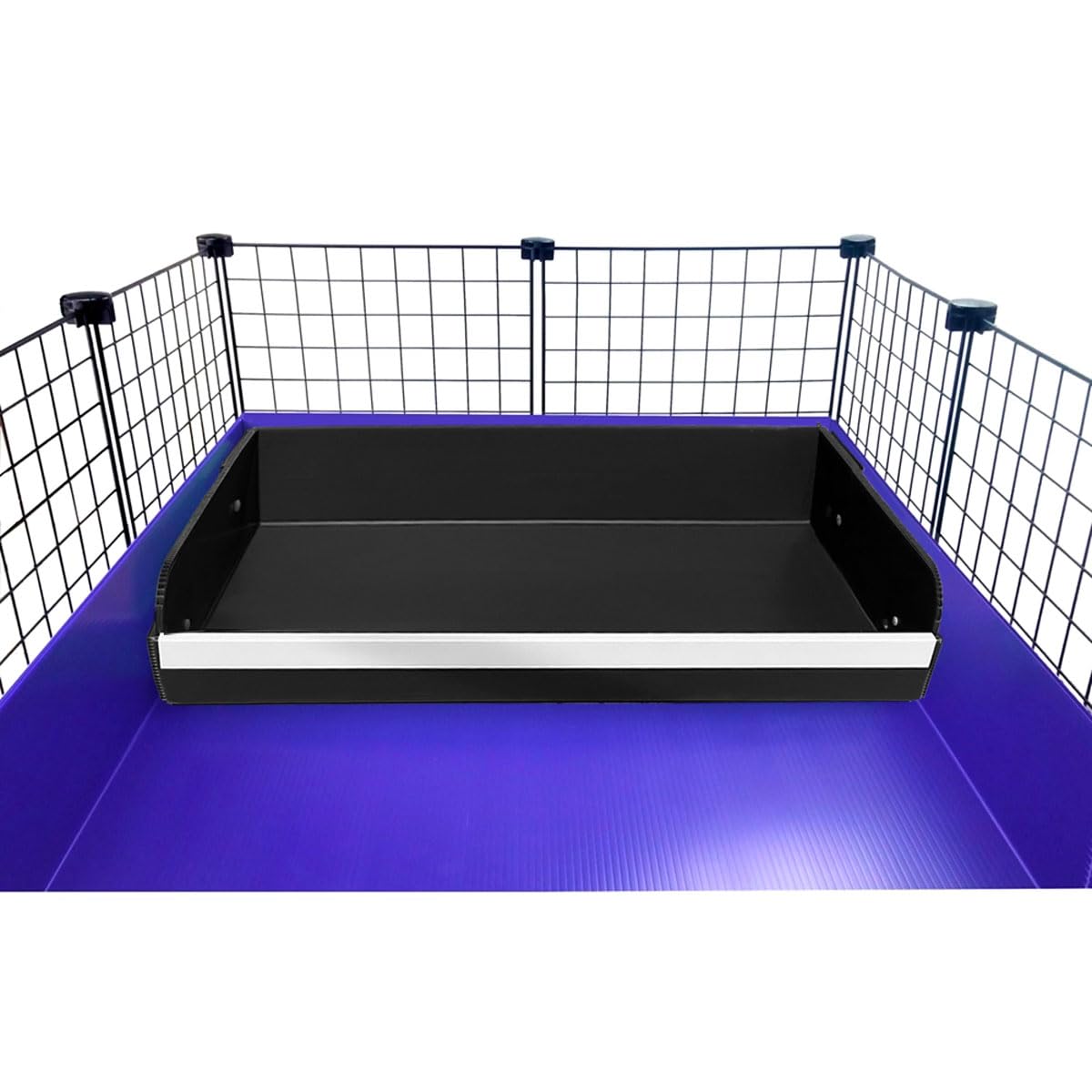 pcprbfk caja de arena para cuyes: montaje rápido para mayor comodidad