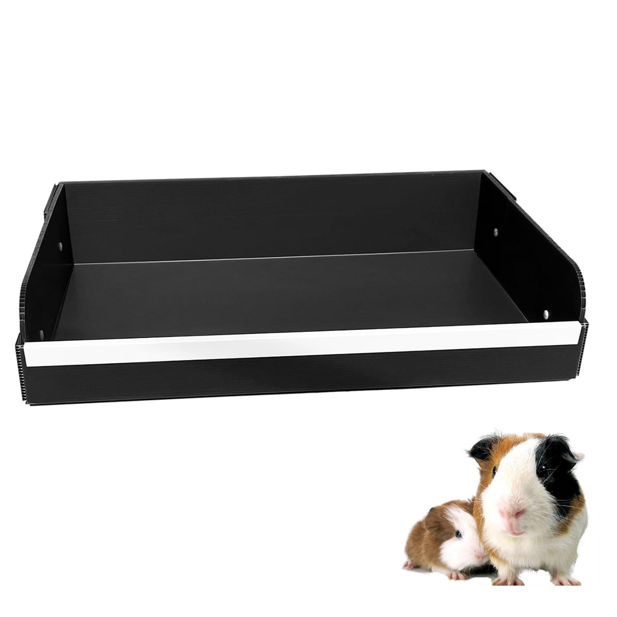 pcprbfk caja de arena para cuyes: zona de cocina ordenada para el cuidado diario