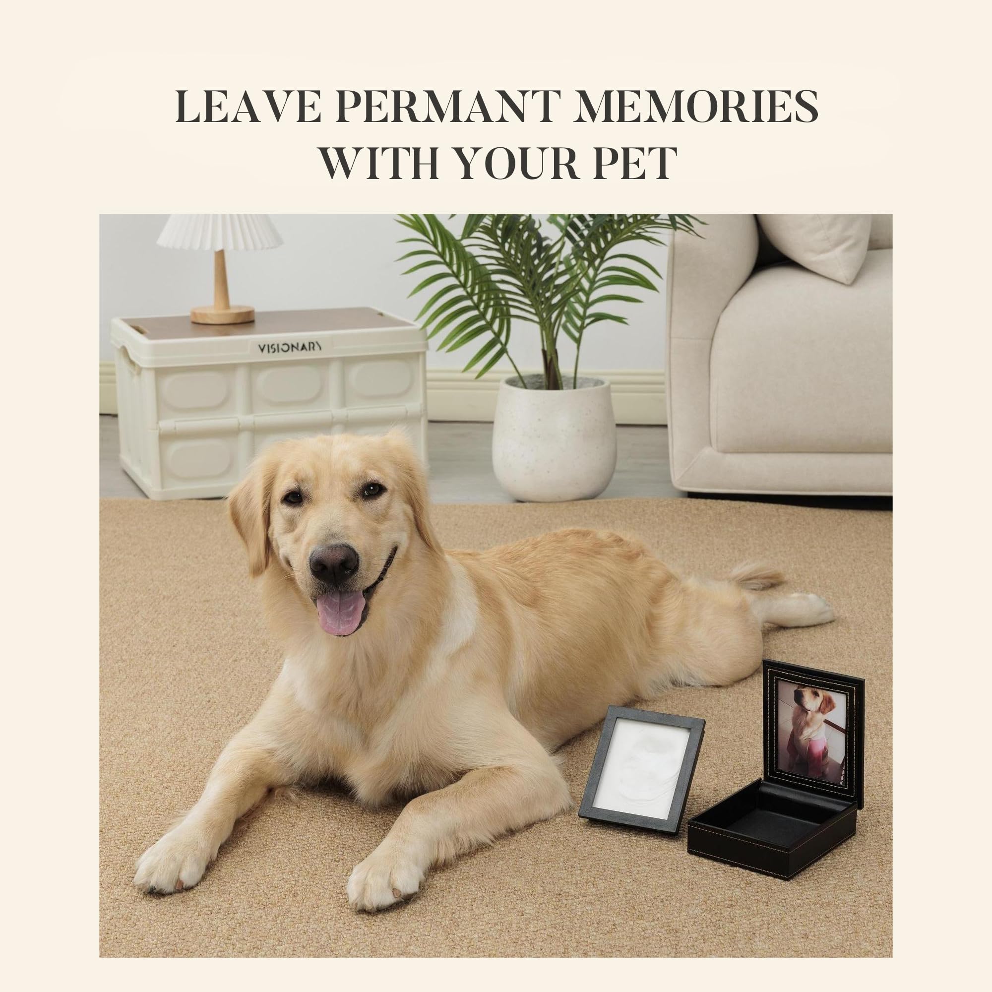 PCS Paw Print Kit: arcilla segura y sin olor para conservar recuerdos