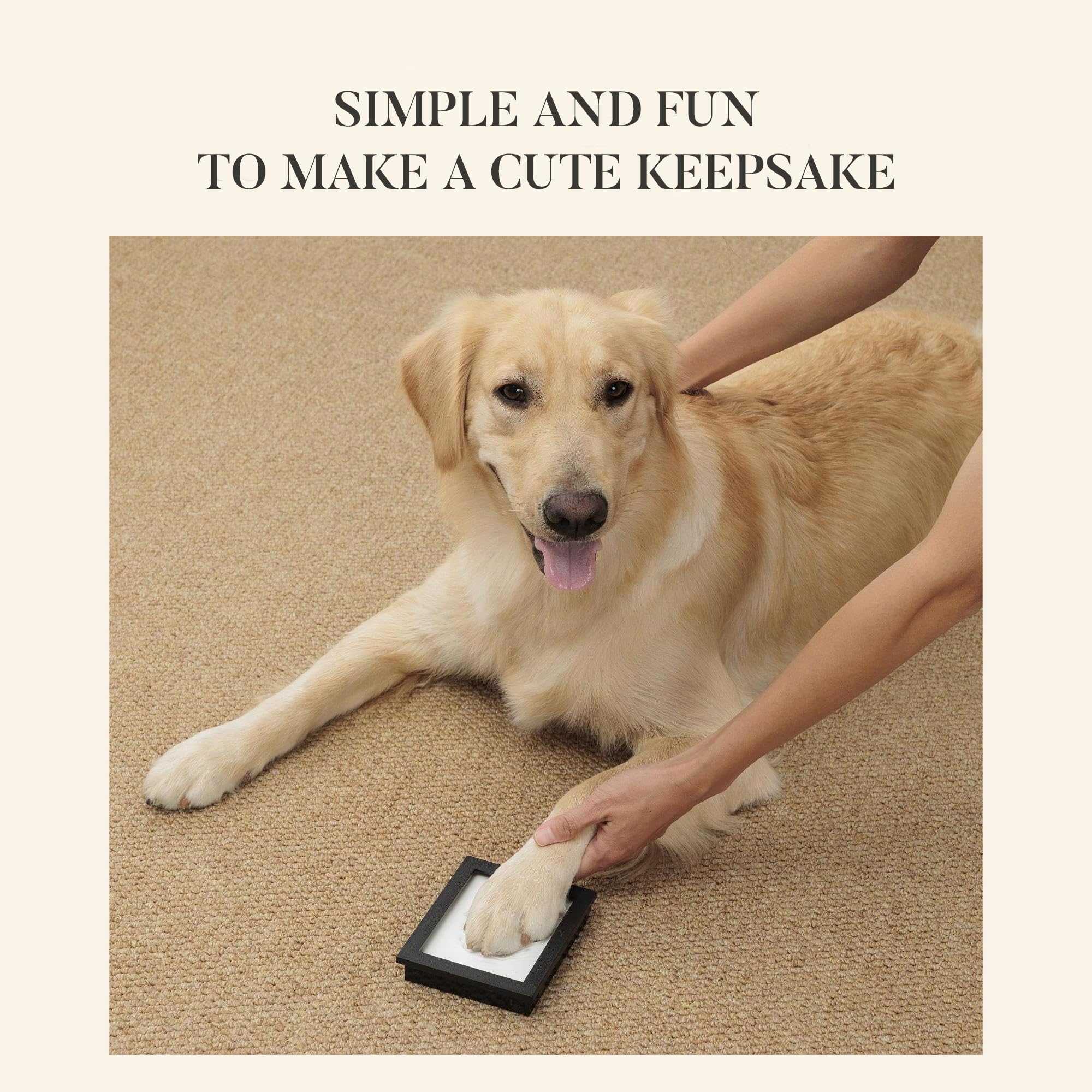 PCS Paw Print Kit: uso sencillo sin amasar para huellas duraderas