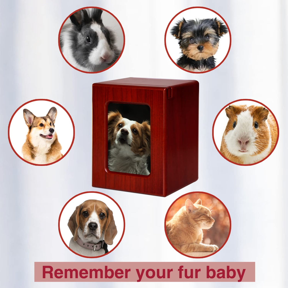 Urna PCS para perros, capacidad para mascotas de hasta 25 libras