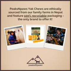 peaksNpaws bolsa con masticables de queso yak Himalayo para perros grandes.
