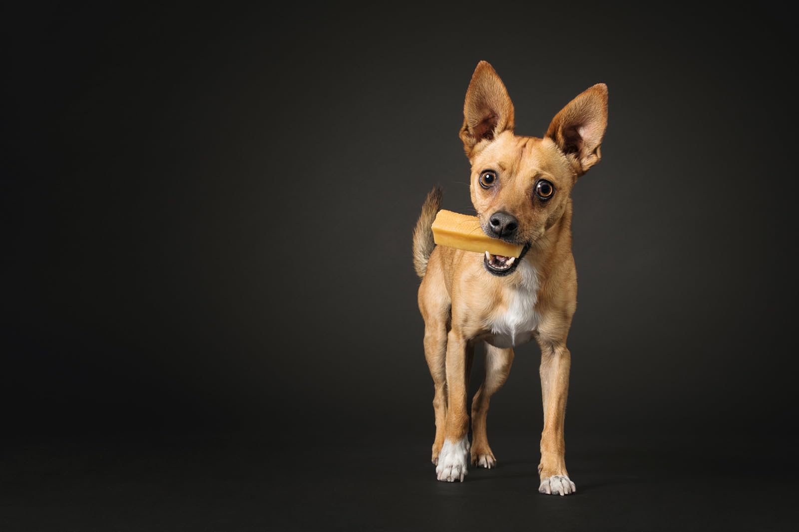 peaksNpaws uso en microondas para crujiente rápido.