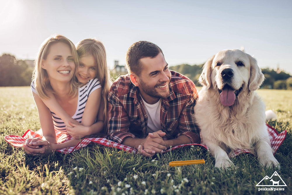 peaksNpaws yak chews facil digestión, sabor agradable y masticación suave