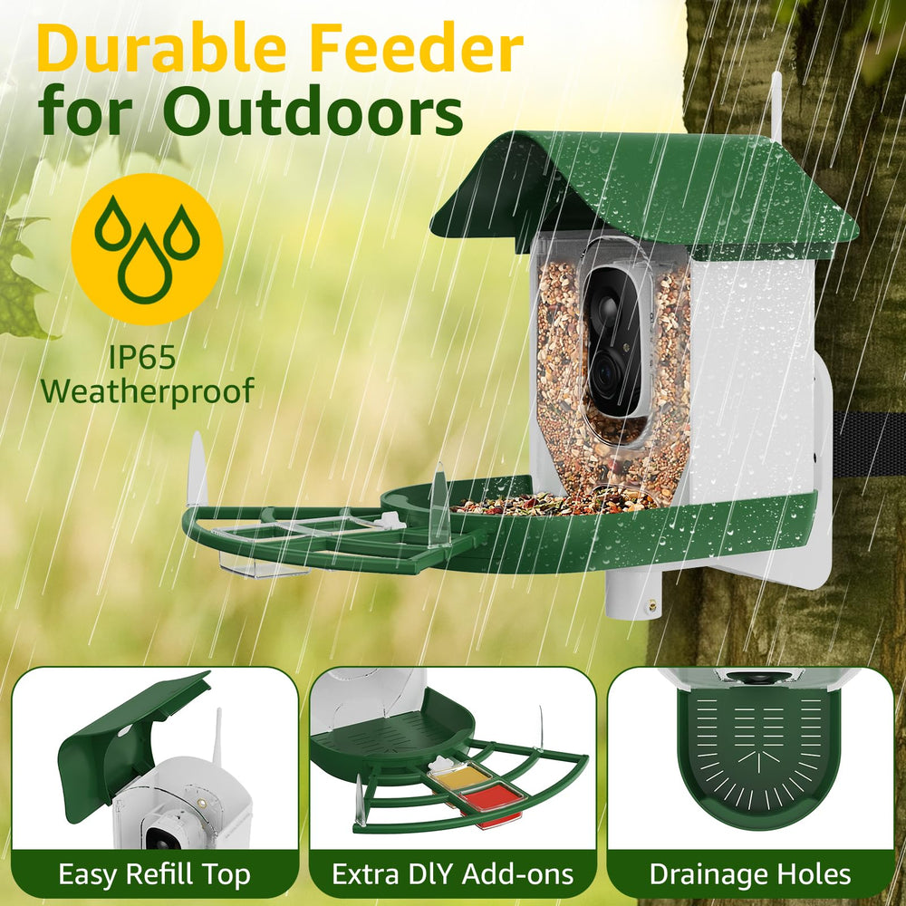 PeckCam accesorios-percha-fruta-jalea: atrae a más aves al comedero