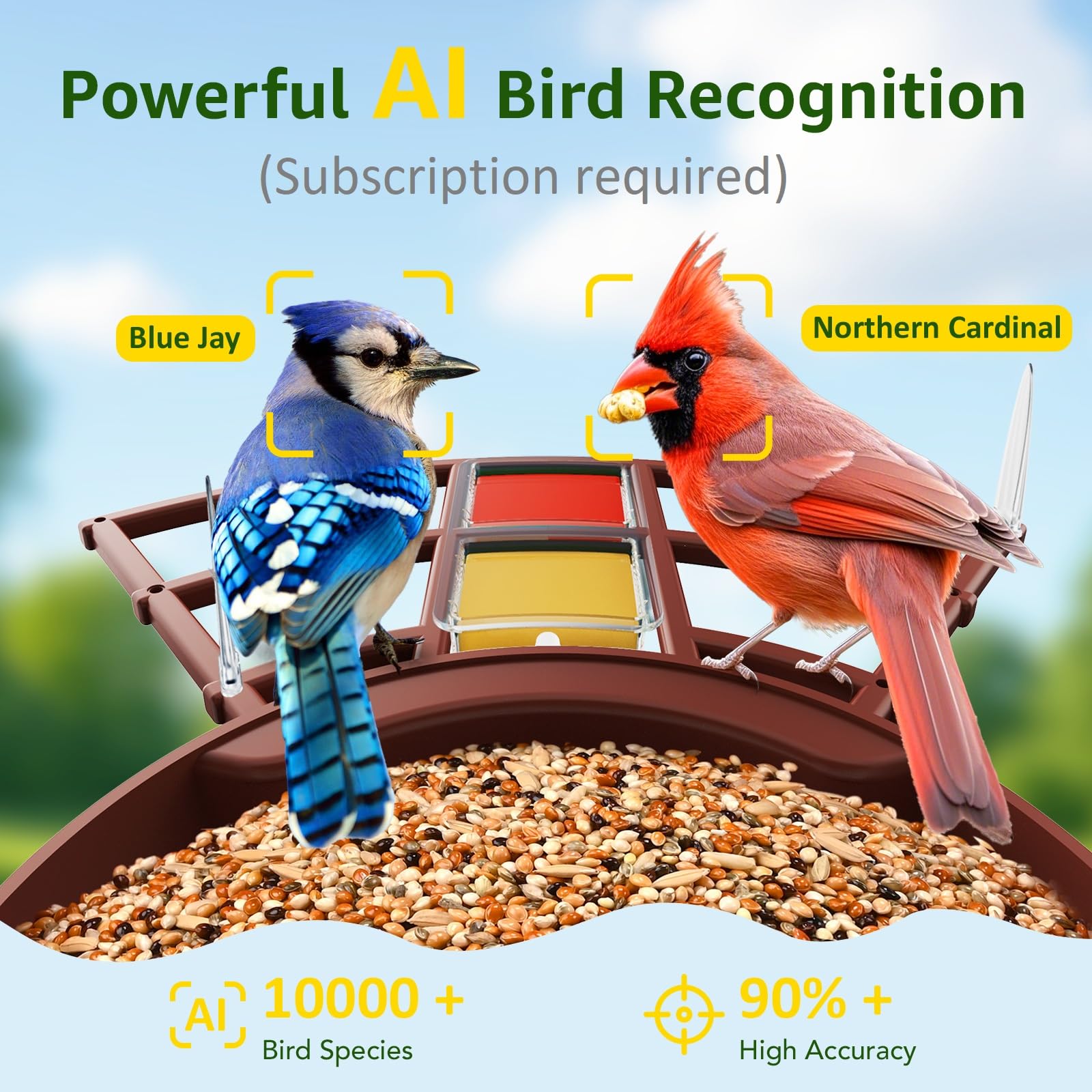 Accesorios de percha con comedero de gel y frutas para atraer aves