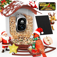 PeckCam cámara 2K, visión nítida para observar aves en tu jardín