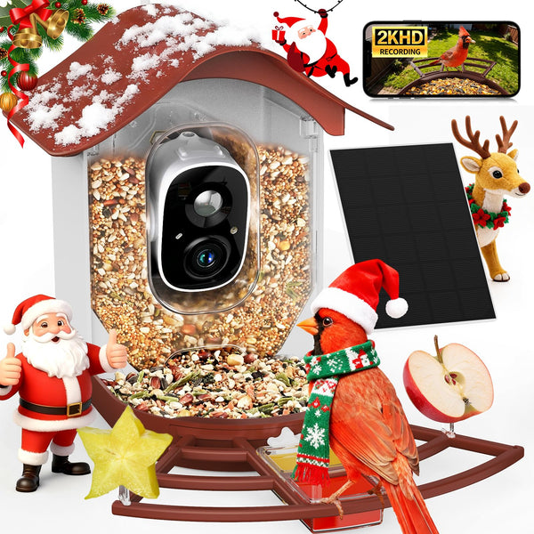 PeckCam cámara 2K, visión nítida para observar aves en tu jardín