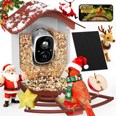 PeckCam cámara 2K, visión nítida para observar aves en tu jardín