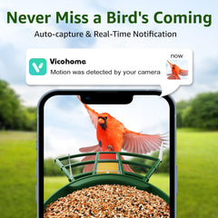 PeckCam identificación-de-aves-ia: reconoce especies para aficionados