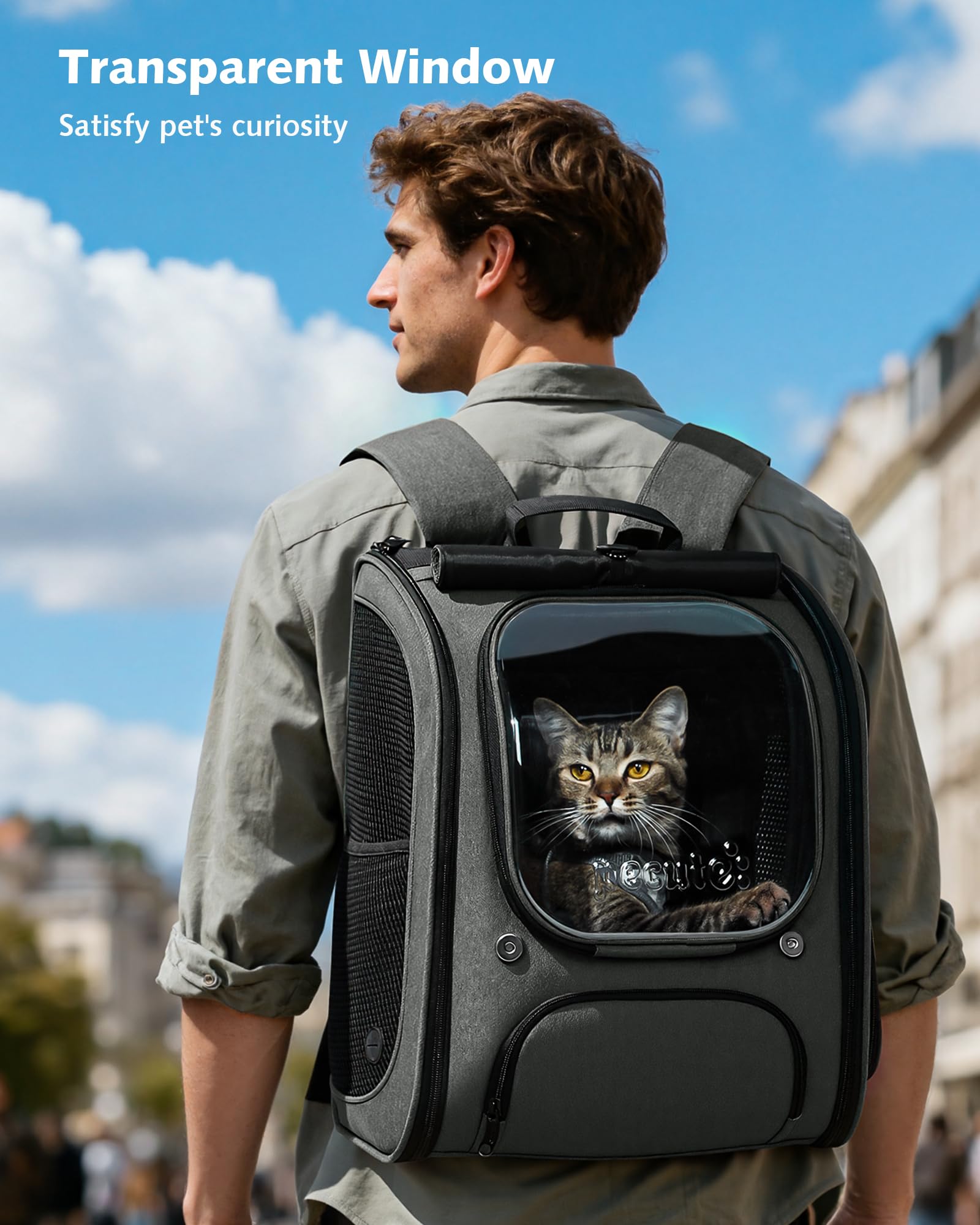 Pecute, bolsa gato malla ventilación, ventilación óptima.